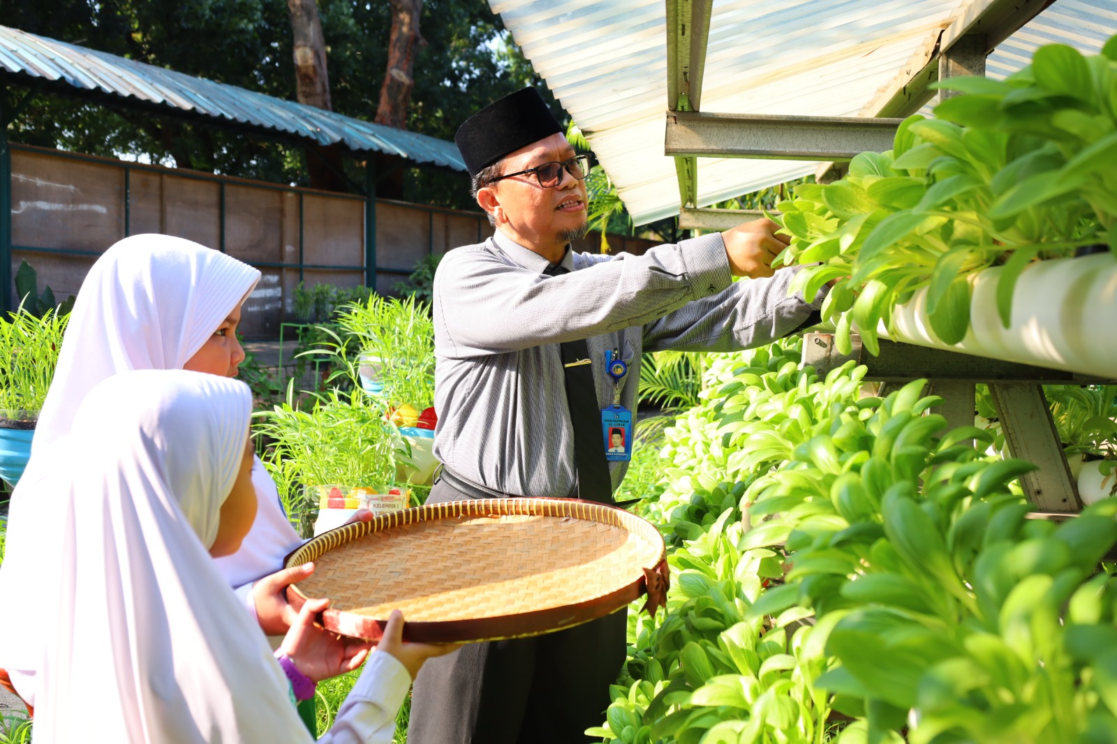 Momen Murid dan Guru SDIA 19 Sentra Primer Panen Pakcoy