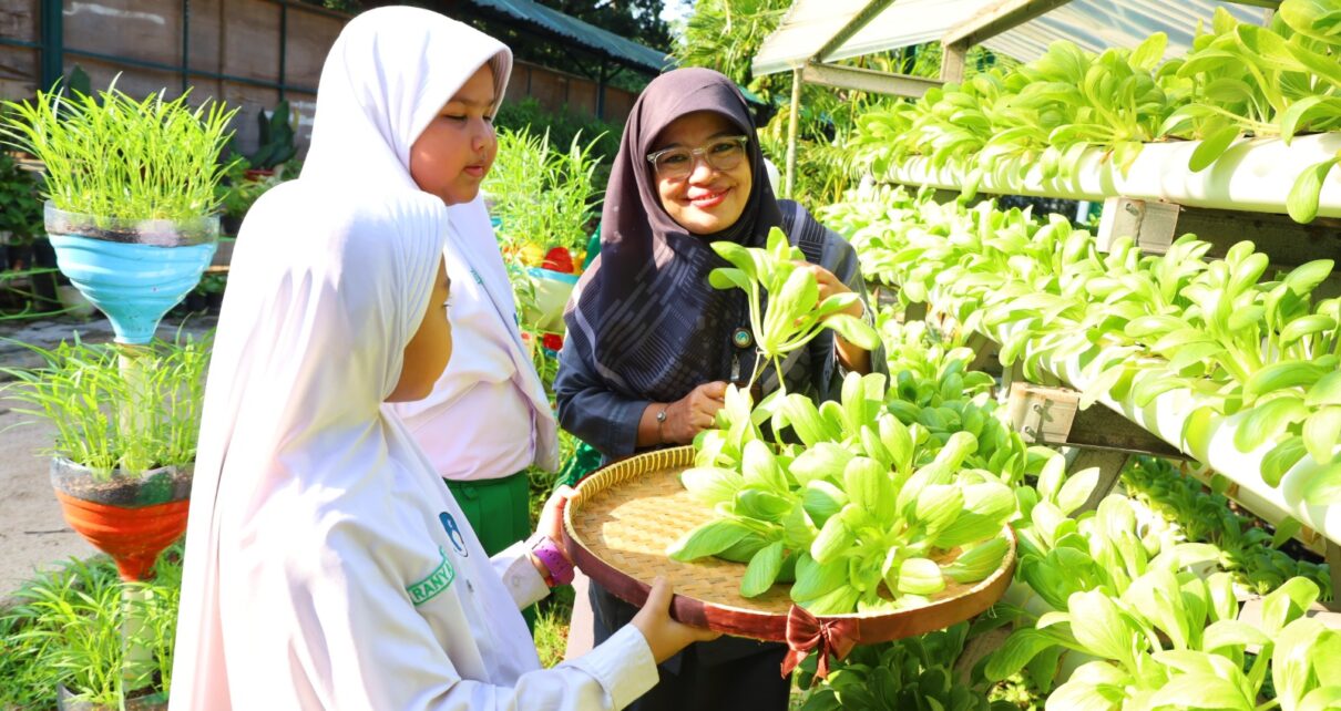 Momen Murid dan Guru SDIA 19 Sentra Primer Panen Pakcoy
